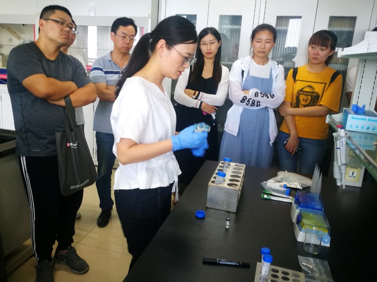 1566176515344094.jpg 10.jpg