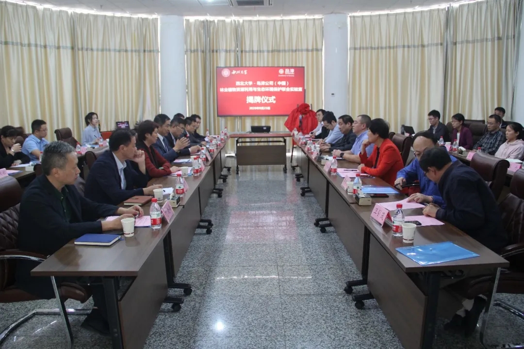 1601122391945960.jpg 1.webp.jpg