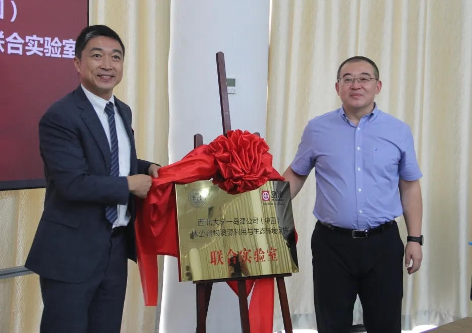 1601122526690992.jpg 8.webp.jpg