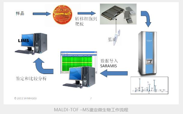 1606873200490548.jpg 8.JPG