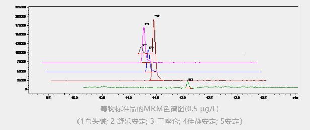 1606873597399262.jpg 13.JPG