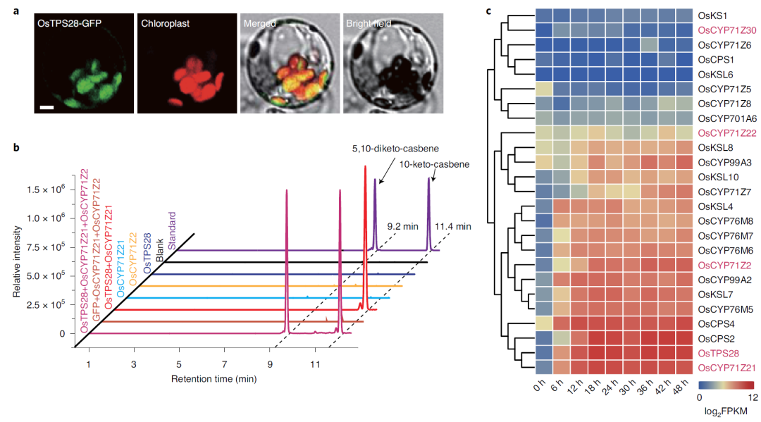 1607513026162869.png 2.png