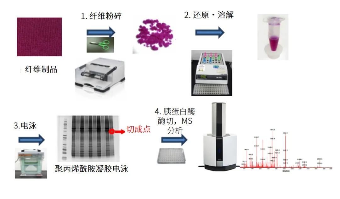 1608255141768849.jpg 3.jpg