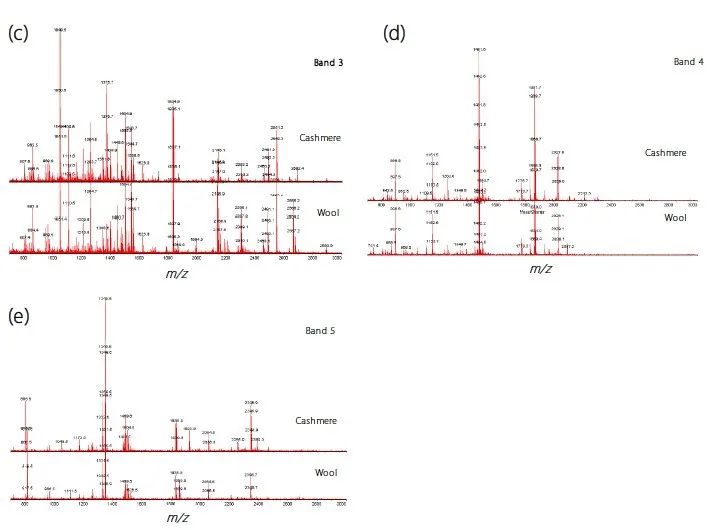 1608255214672700.jpg 5.jpg