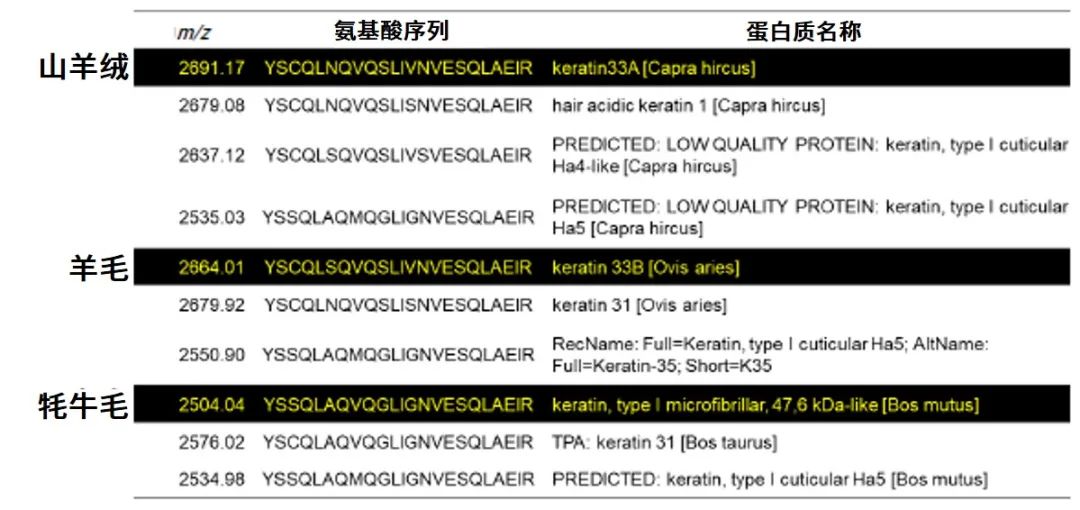 1608255292241972.jpg 7.jpg