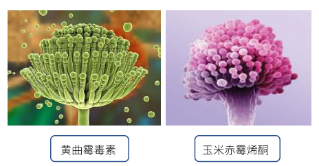 1610590534838810.png 2.png