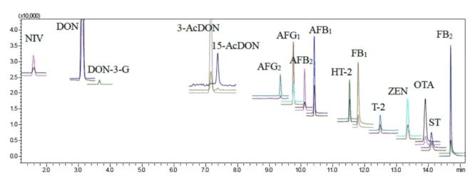 1610590602526850.jpg 3.JPG