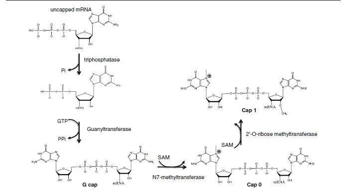 1610677853382864.jpg 3.jpg
