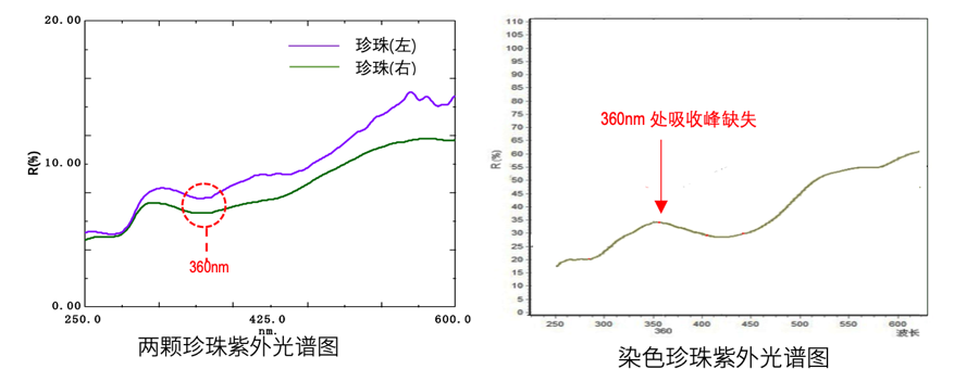 1612315099590034.png 6.png