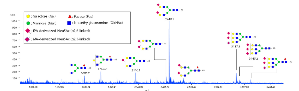 1614649000381981.png 2.png