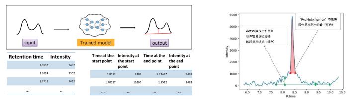 1617329253291737.png 5.png