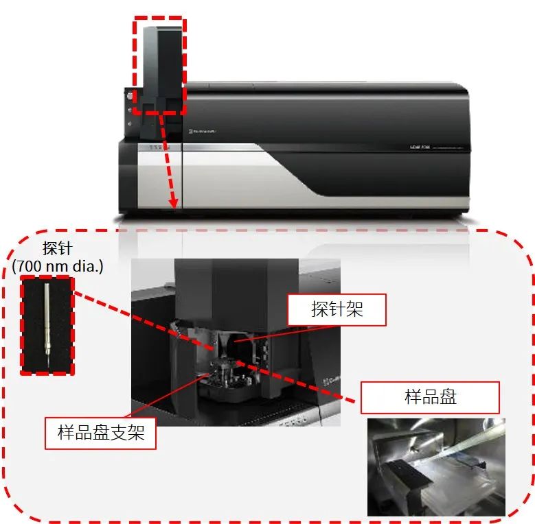 1617860298389116.jpg 5.jpg