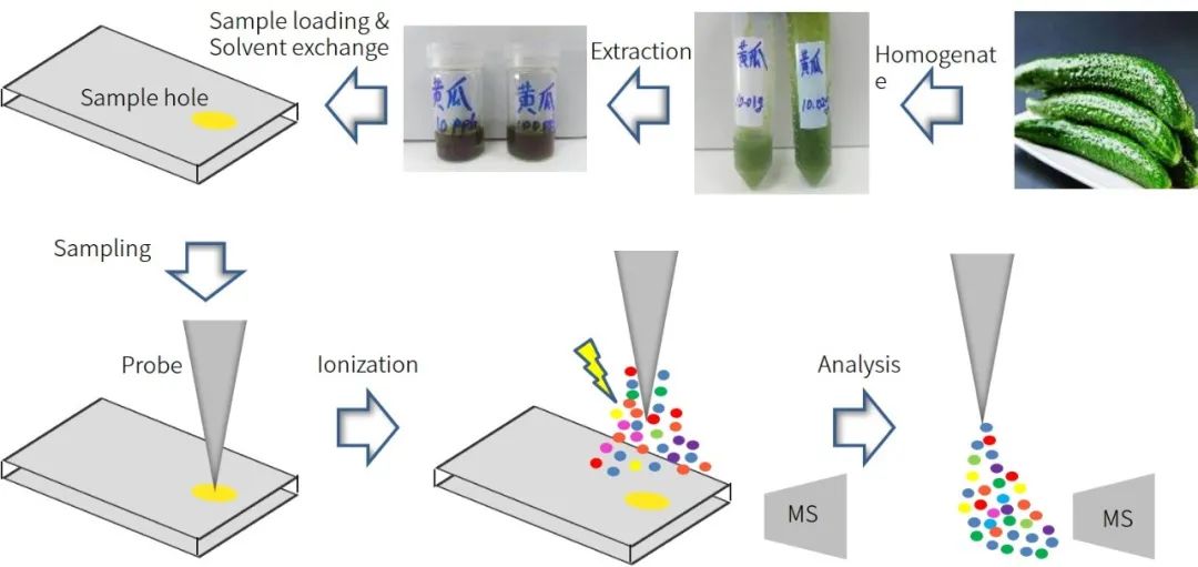 1617860671279421.jpg 13.jpg