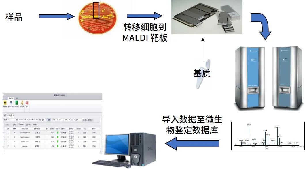 1620694899440442.jpg 2.jpg