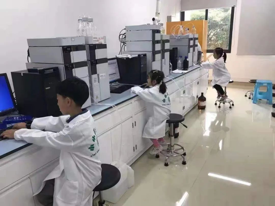 1622509279572825.jpg 7.jpg