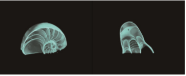 1623115449537091.png 4.png