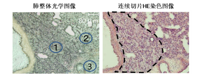 1624324197412685.png 12.png