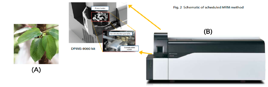 1624584137999864.png 7.png