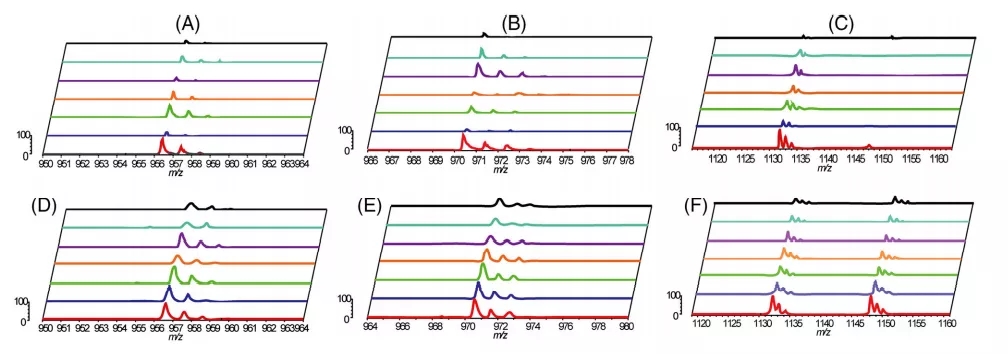 1626404515918126.jpg 6.webp.jpg