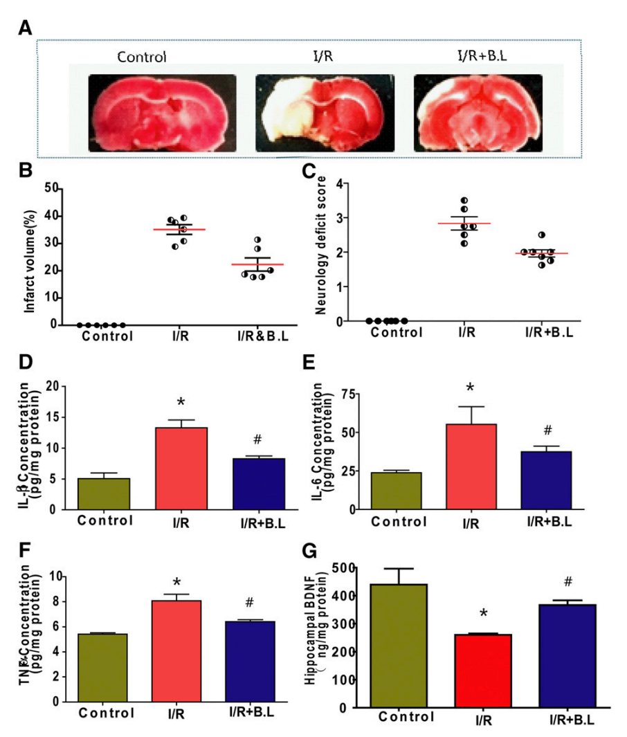 1626829008946846.png 6.png