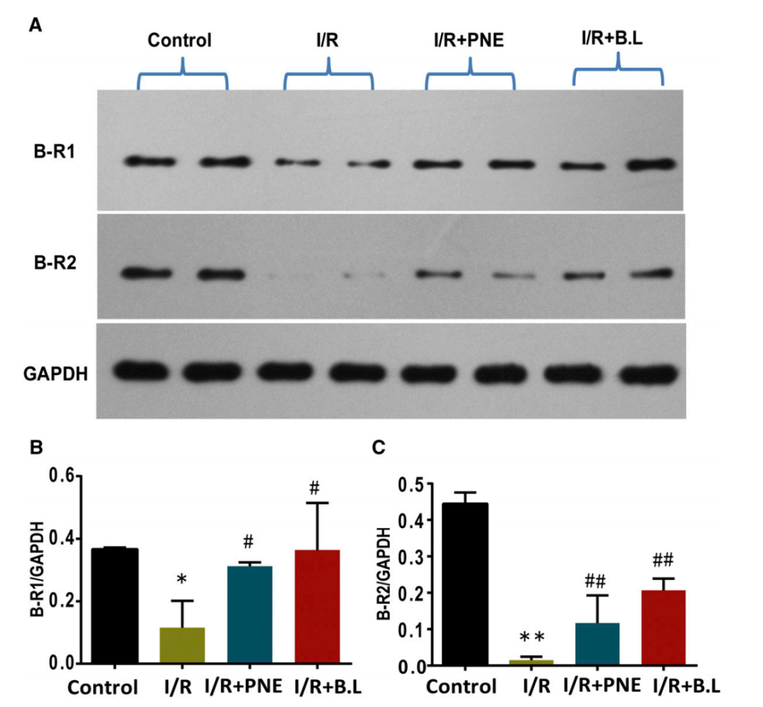 1626829031715333.png 7.png