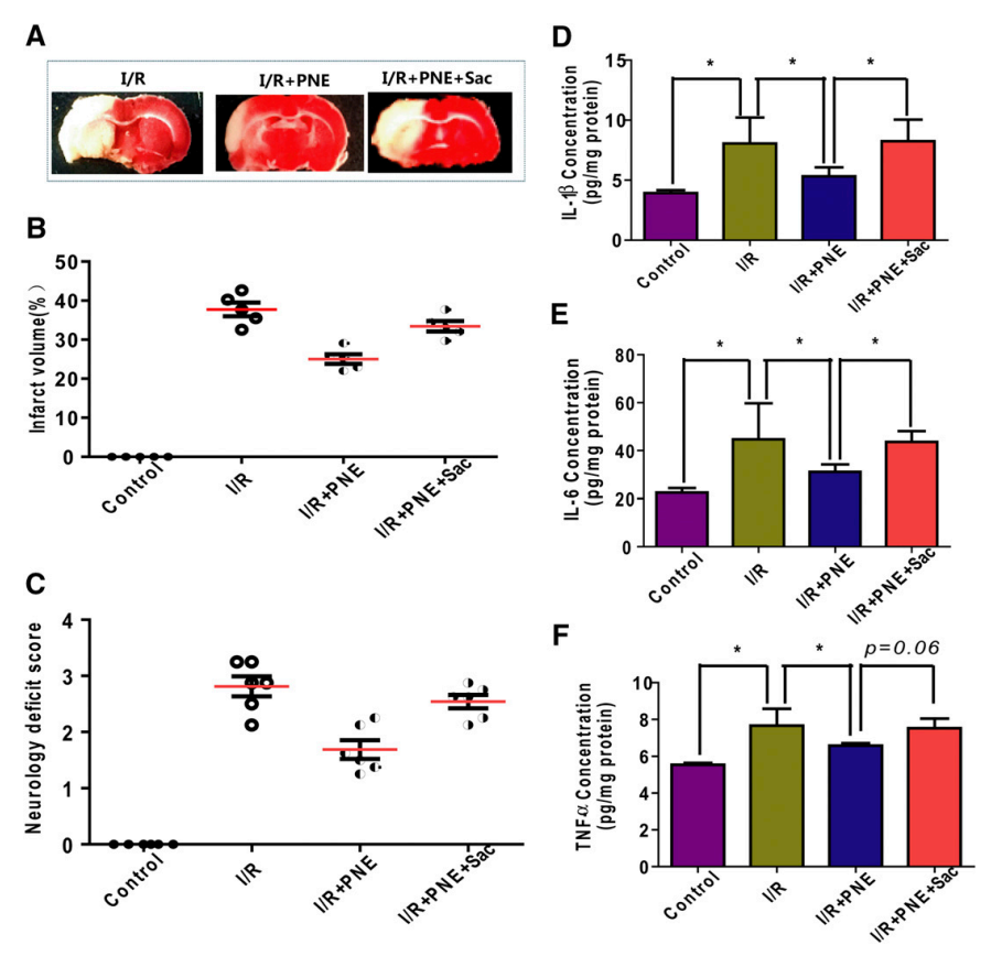 1626829054197372.png 8.png