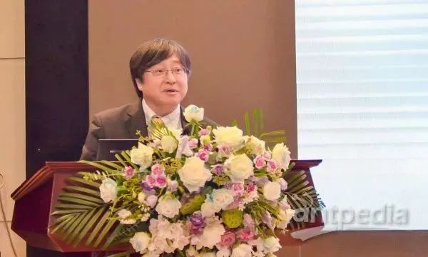 1627355149420739.jpg 8.jpg