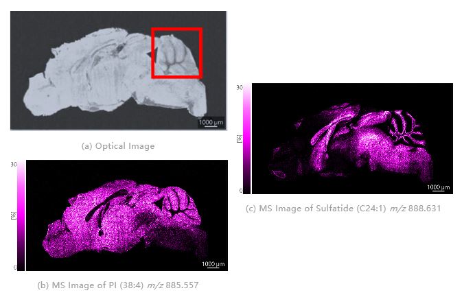 1627521677187900.png 4.png