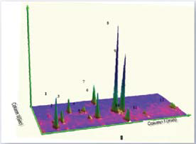 1628557742701457.png 9.png