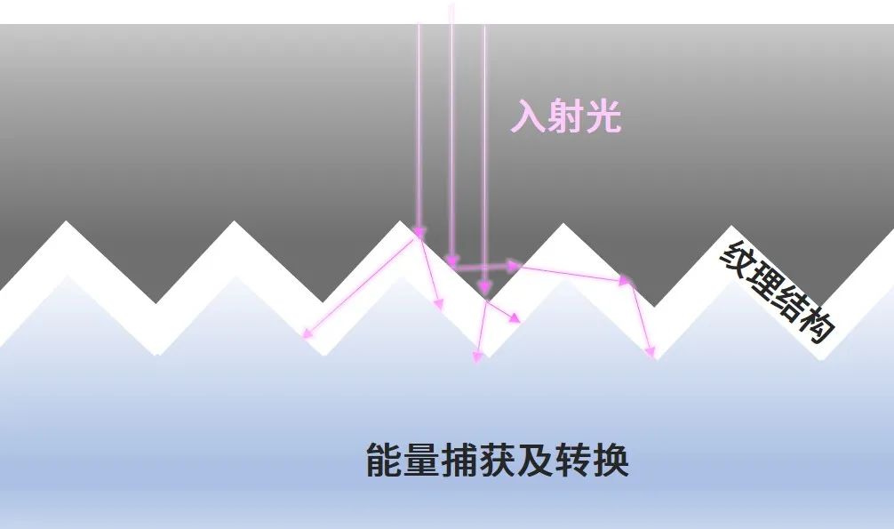 1628660843741262.jpg 2.jpg