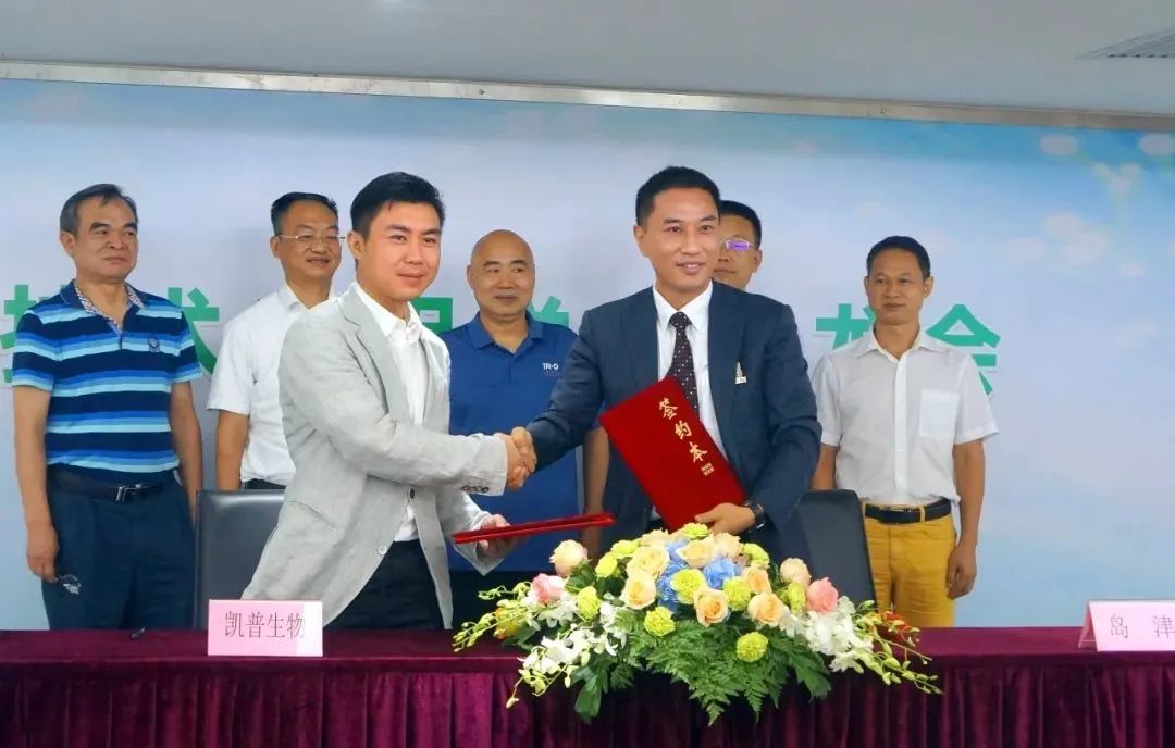 1629075079335597.jpg 1.jpg