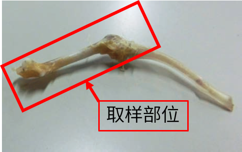 1629250954470489.png 2.png