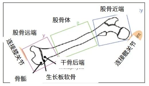 1629250961603355.jpg 3.jpg