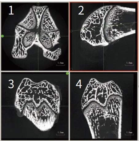 1629250969106464.jpg 7.jpg