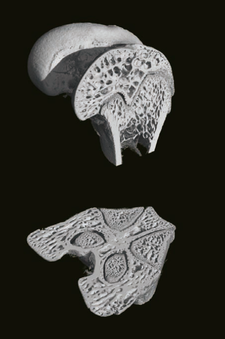 1629250980476223.png 8.png