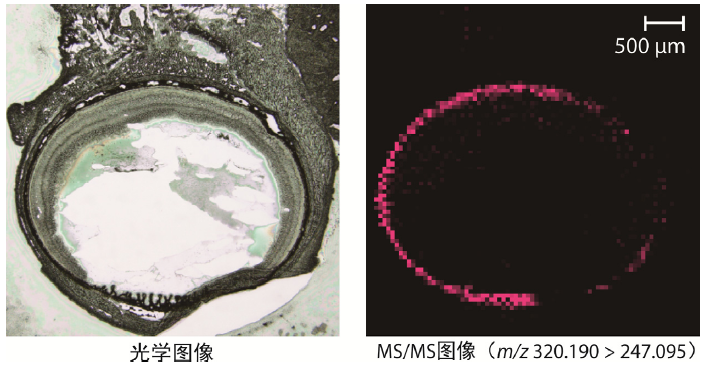 1630028134833015.png 9.png