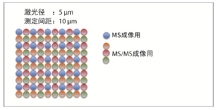 1630028191292087.png 12.png