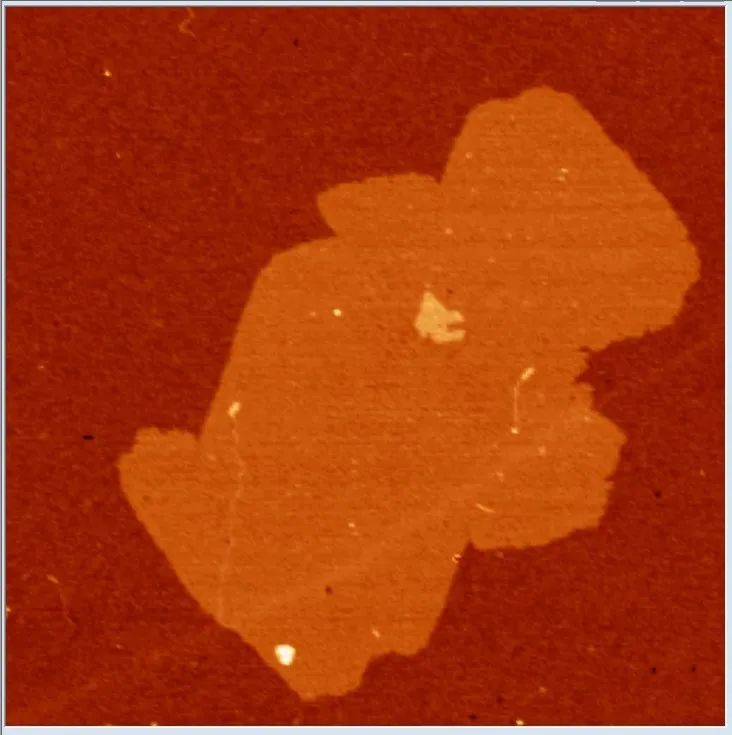 1630452235500987.jpg 4.jpg