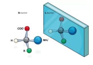 1635916547875554.jpg 2.JPG