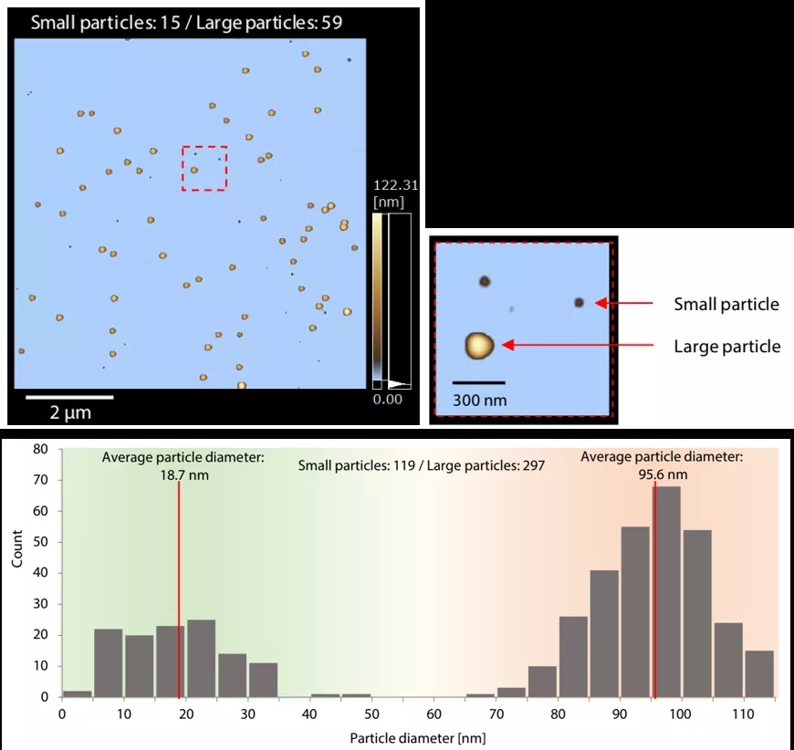 1637206146651072.jpg 7.webp.jpg