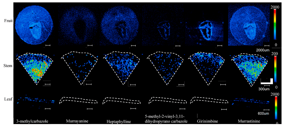 1637805739886467.png 3.png