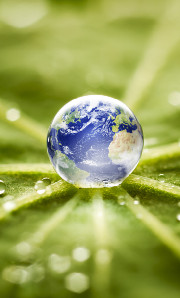 1638842408750615.png 1.png