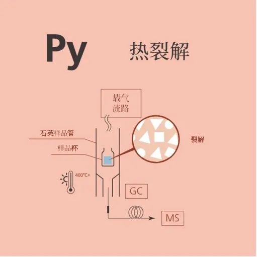 1639535197219318.jpg 10.jpg