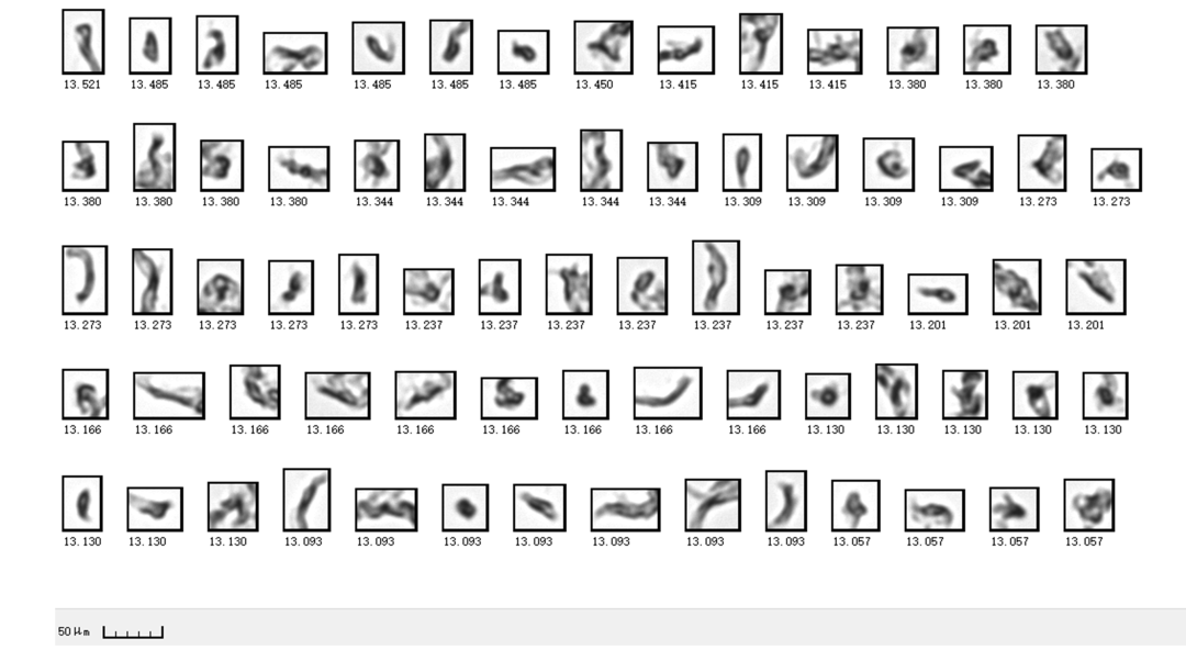 1640141036738513.png 10.png