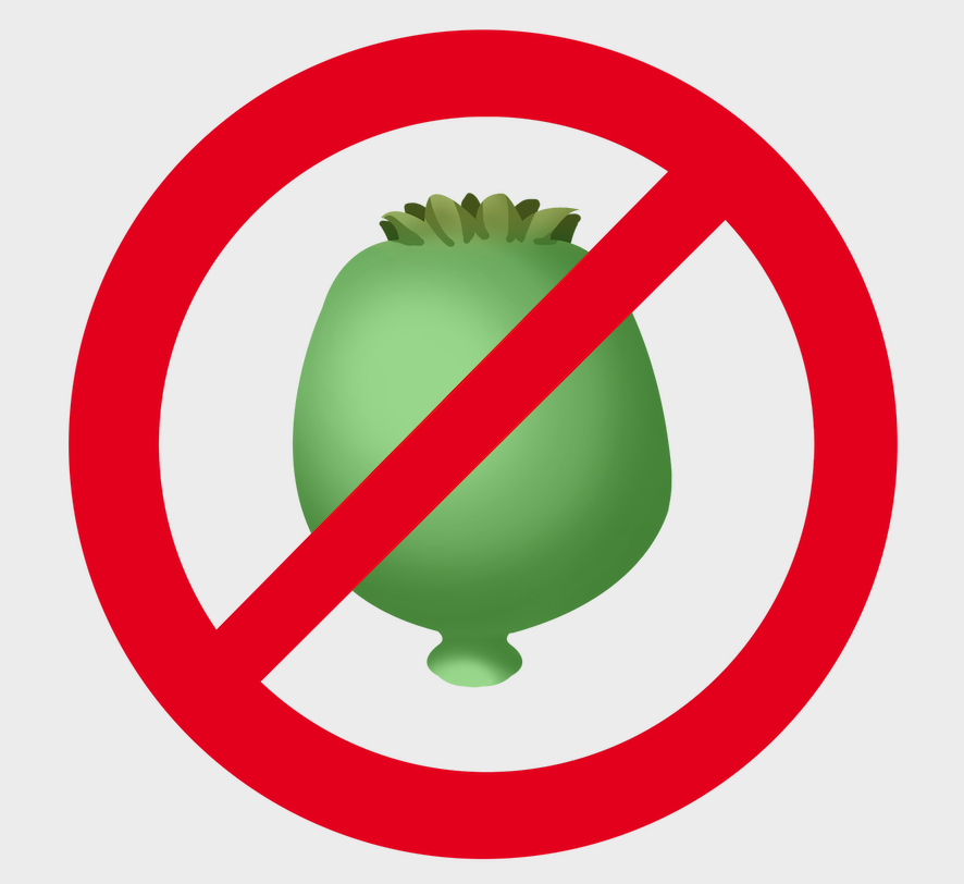 1641264646652428.png 2.png