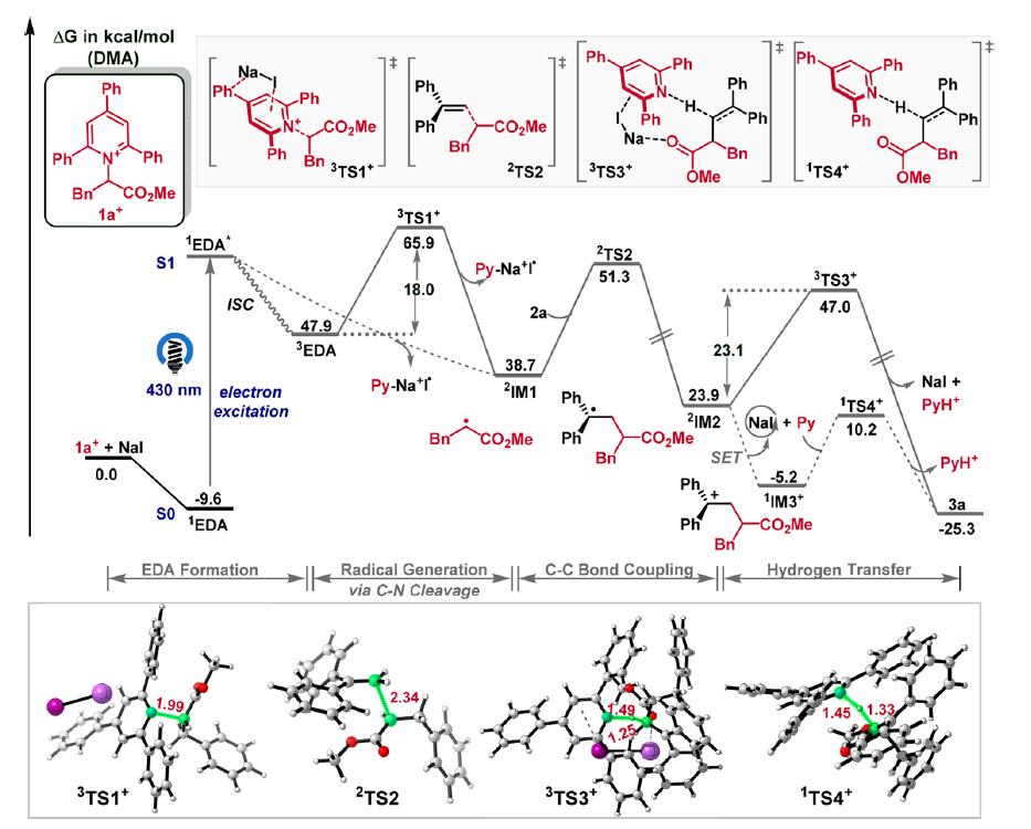 1644371306429441.png 8.png