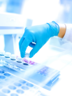 1645146763746310.png 2.png