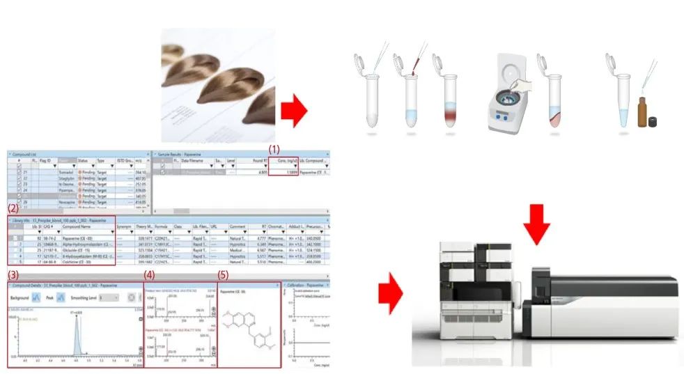 1645147344878331.jpg 12.jpg