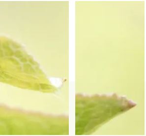 1646011984413015.jpg 0.jpg