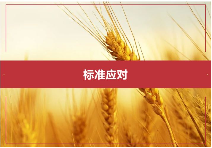 1646271516172623.jpg 1.JPG